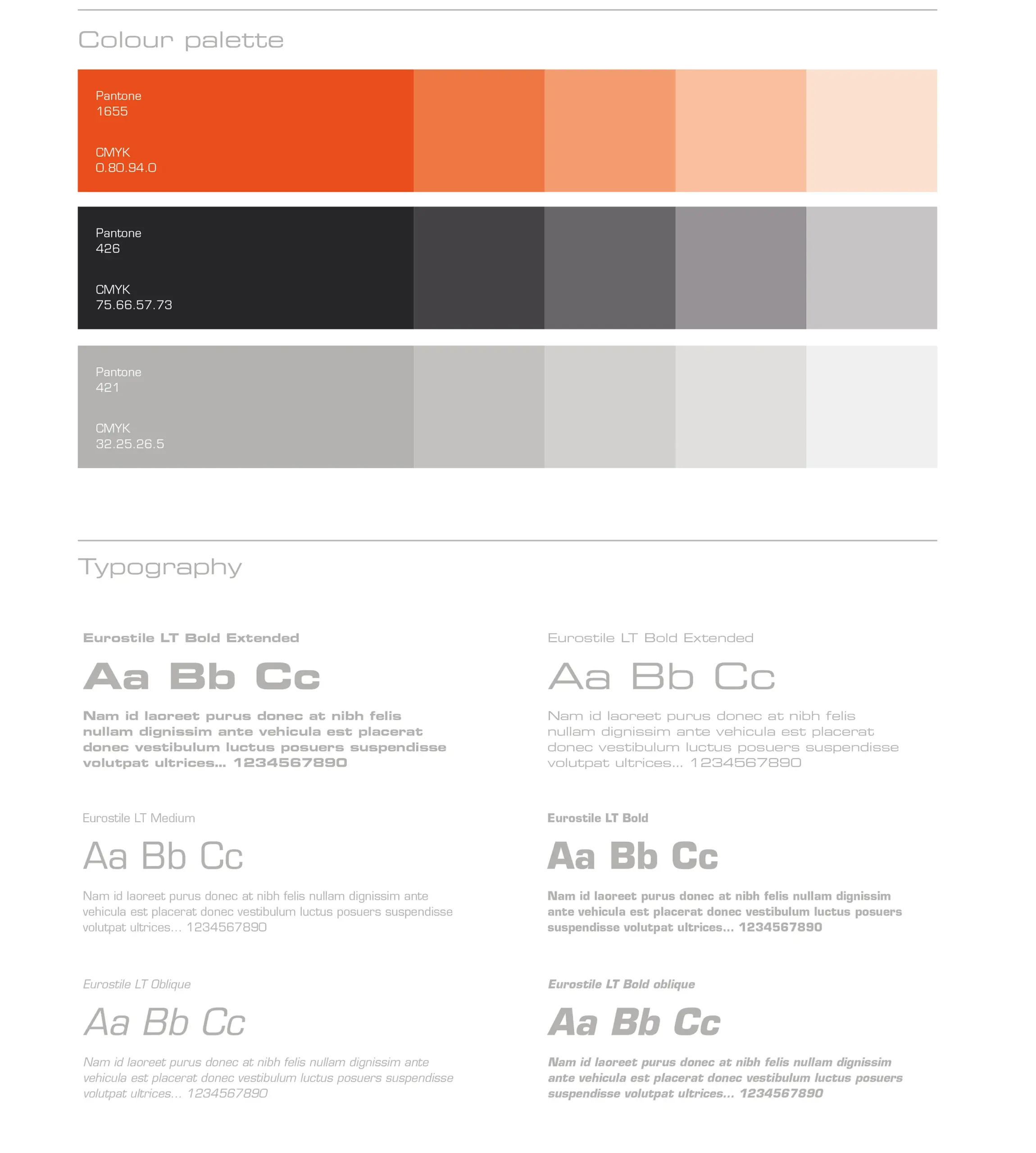 Brand guidelines for electrical systems engineering — cerberus