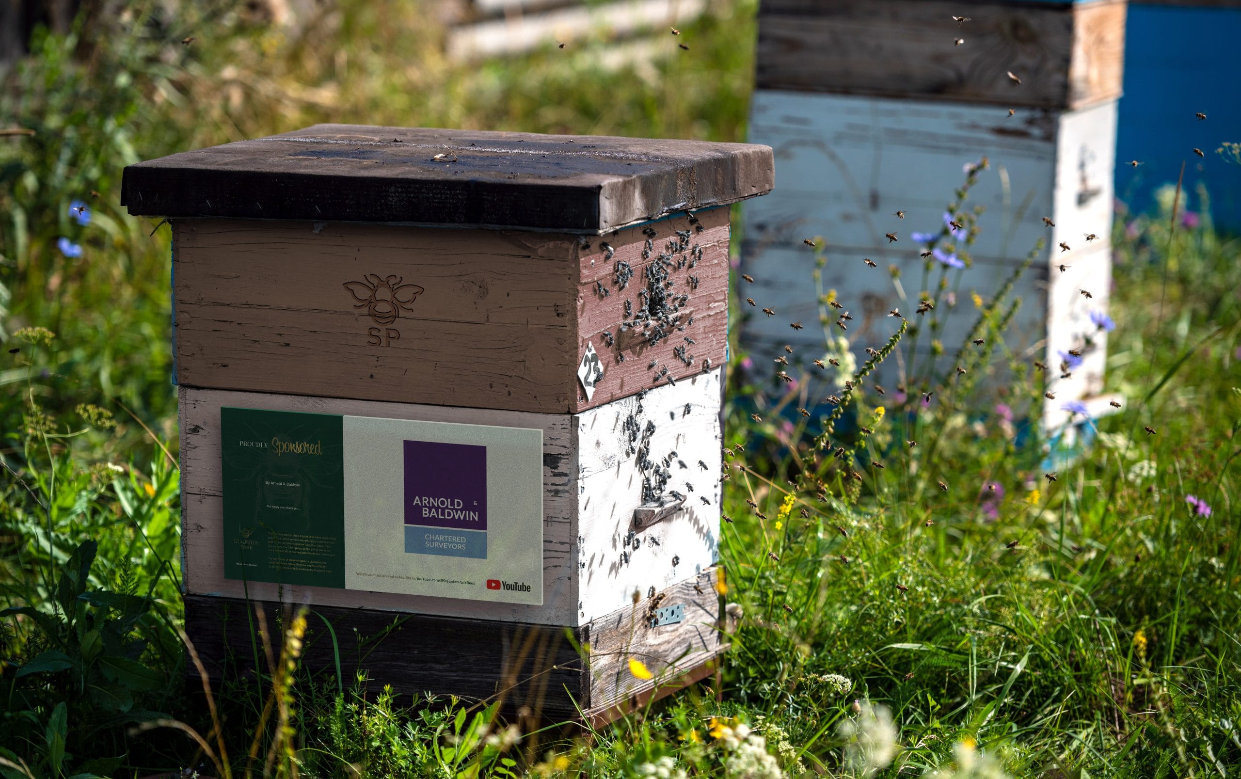 Arnold & baldwin chartered surveyors beehive adoption signage design