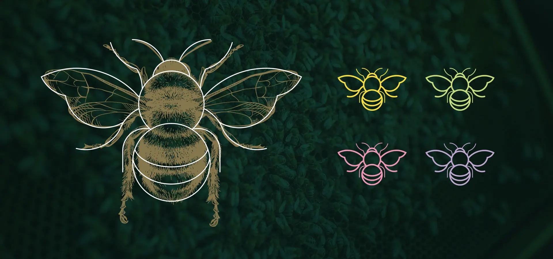 Bee logo design showing the main gold logo mark and alternate colours ways in yellow, green, pink and blue.