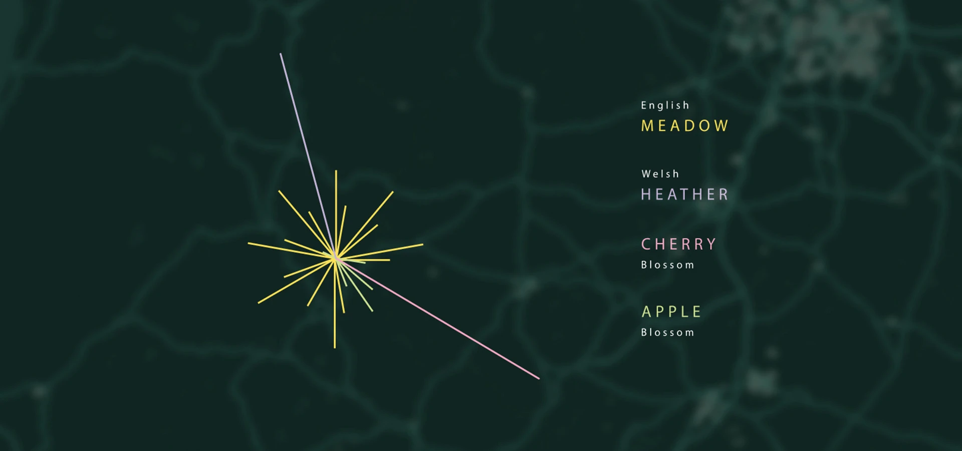 Label design for honey showing the direction of bees travel.